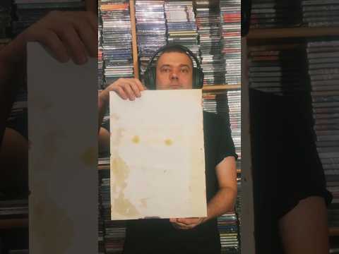 The Shape of Sound (2025) A3 PAPER